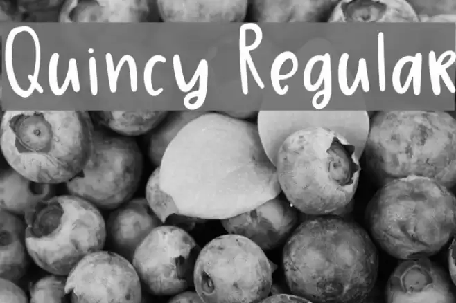 Quincy Regular Font examples