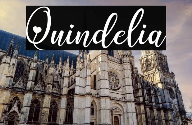 Quindelia Example 3