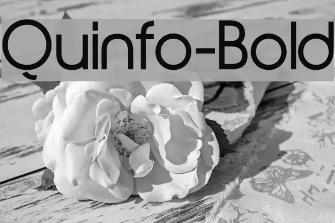 Quinfo-Bold Font examples