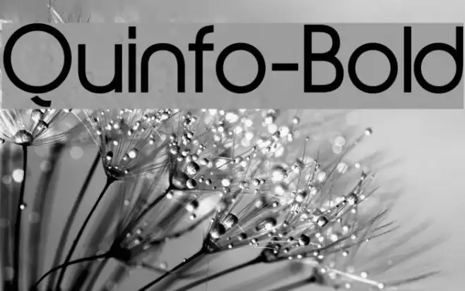 Quinfo-Bold Font examples