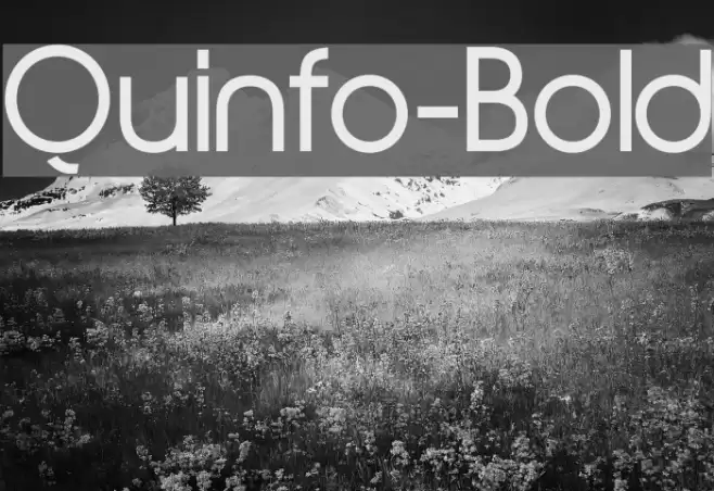 Quinfo-Bold Font examples