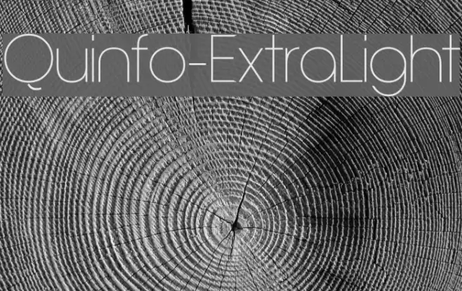 Quinfo-ExtraLight Fonte examples