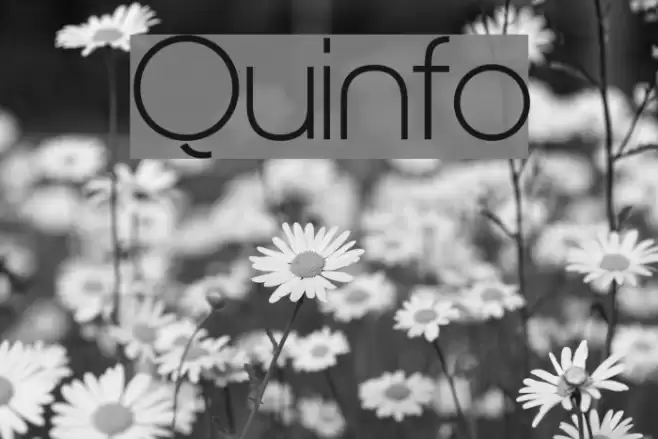 Quinfo Font examples