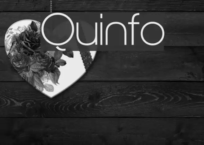 Quinfo Font examples