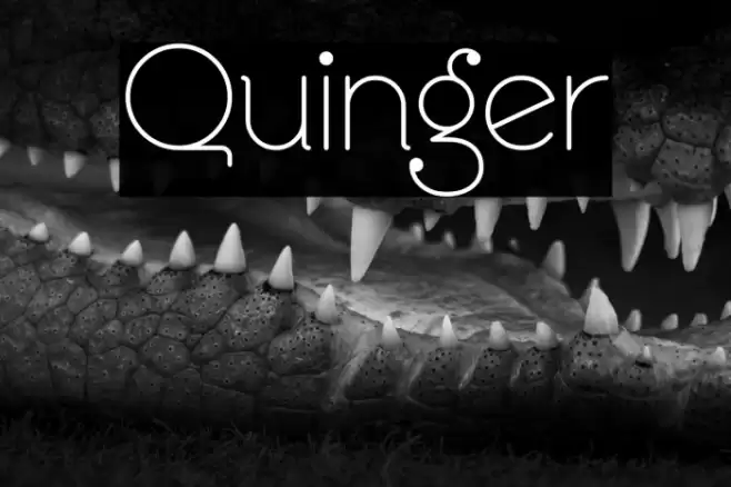 Quinger Font examples