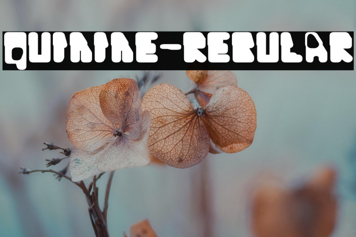 Quinine-Regular Example 2