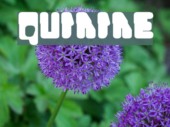 Quinine Fonte examples