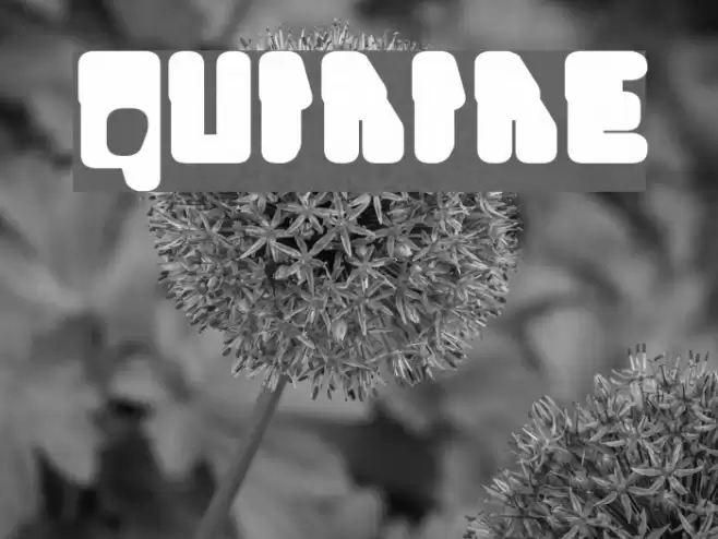 Quinine Font examples