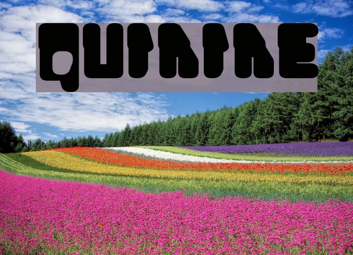 Quinine Fonte examples
