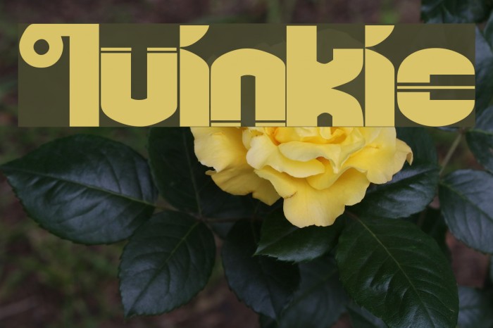 Quinkie Font examples