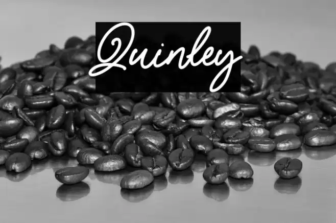 Quinley Font examples