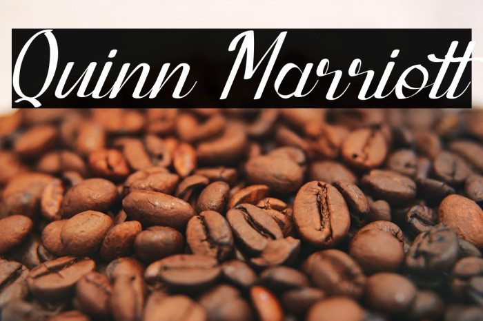 Quinn Marriott Example 1