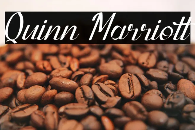 Quinn Marriott Example 1