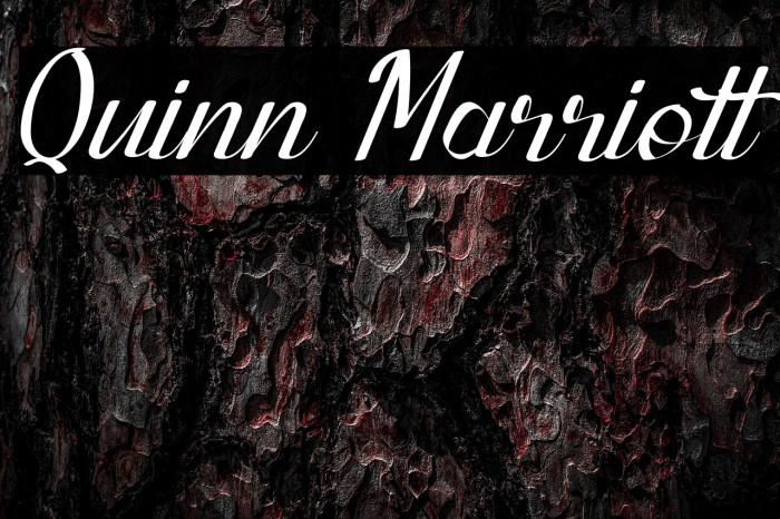 Quinn Marriott Example 2