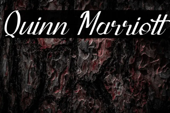Quinn Marriott Example 2