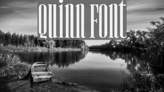 Quinn Font examples