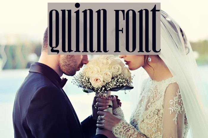 Quinn Font examples