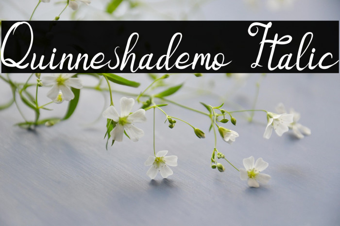 Quinneshademo Italic Example 1