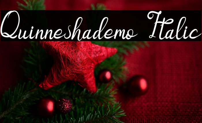 Quinneshademo Italic Example 2