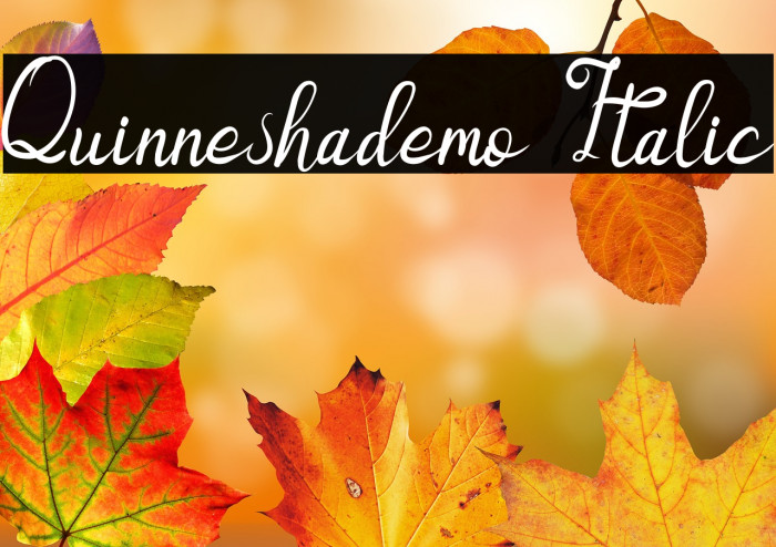 Quinneshademo Italic Example 3