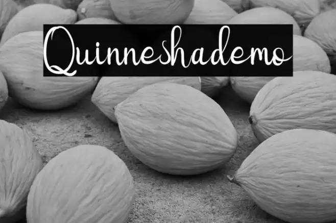 Quinneshademo Font examples