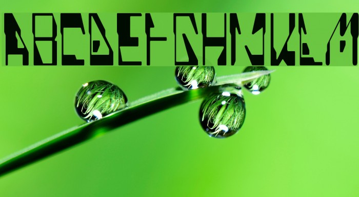 Quinoline Font examples