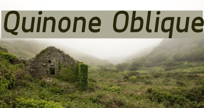 Quinone Oblique Font examples