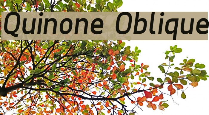 Quinone Oblique Font examples