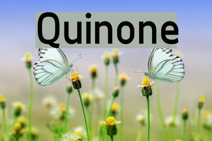 Quinone Font examples