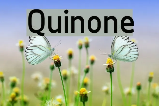 Quinone Example 2