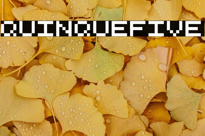 QuinqueFive Example 1