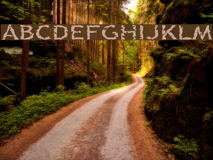 Quinquefoliolate Font examples