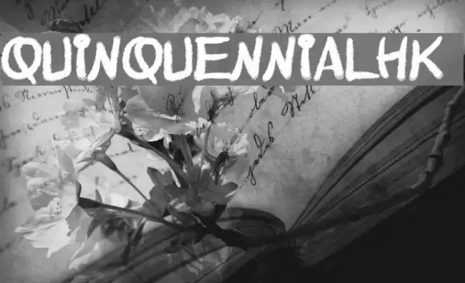 QuinquennialHK Font examples