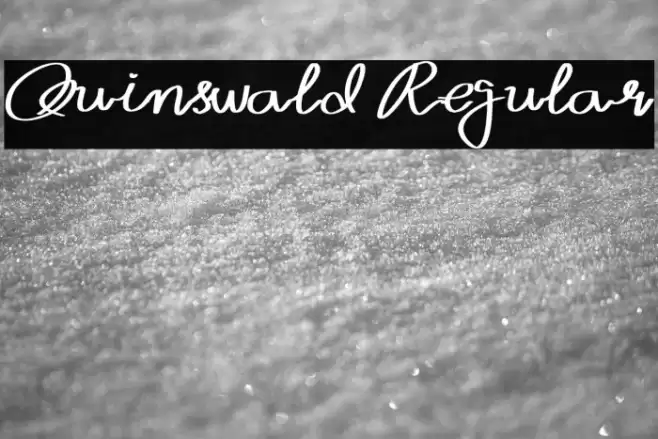 Quinswald Regular Font examples