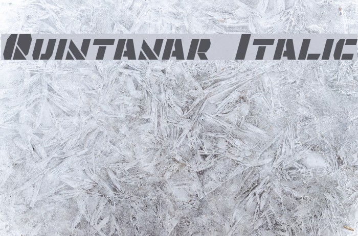 Quintanar Italic Font examples