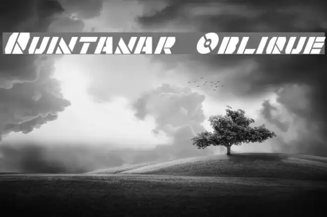 Quintanar Oblique Schriftart examples