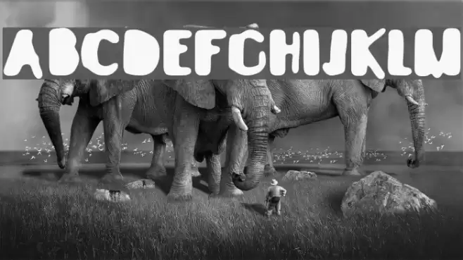 Quintanar de la Orden Font examples