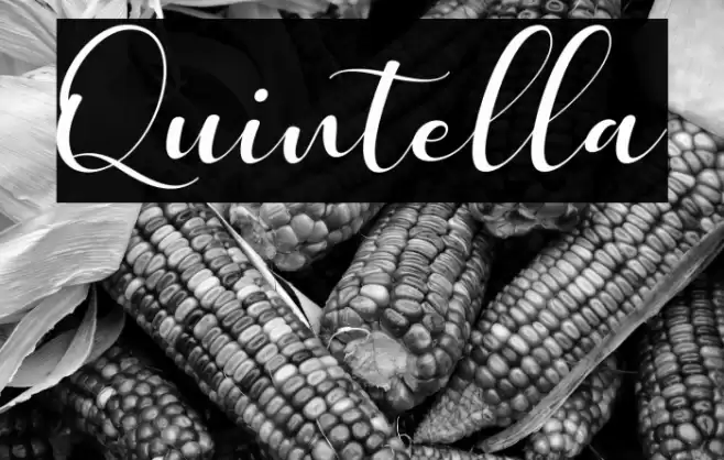 Quintella Font examples