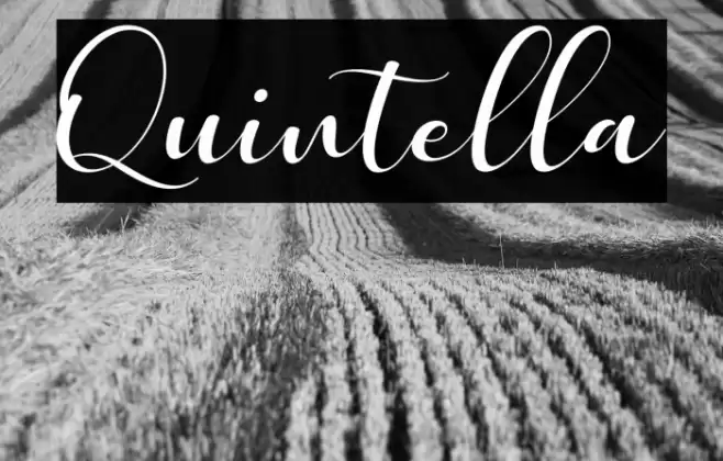 Quintella Font examples