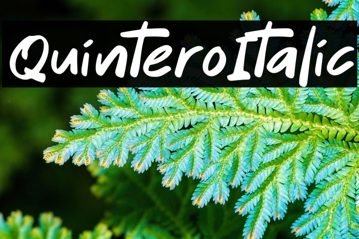 Quintero Italic Example 2