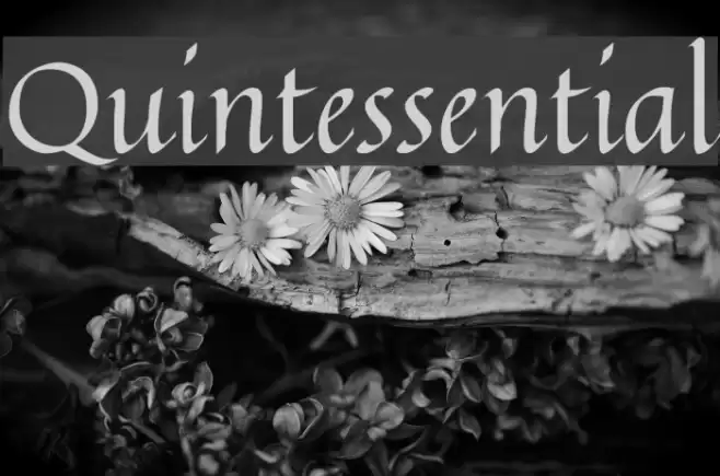 Quintessential Font examples