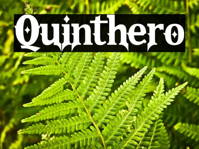 Quinthero Example 1
