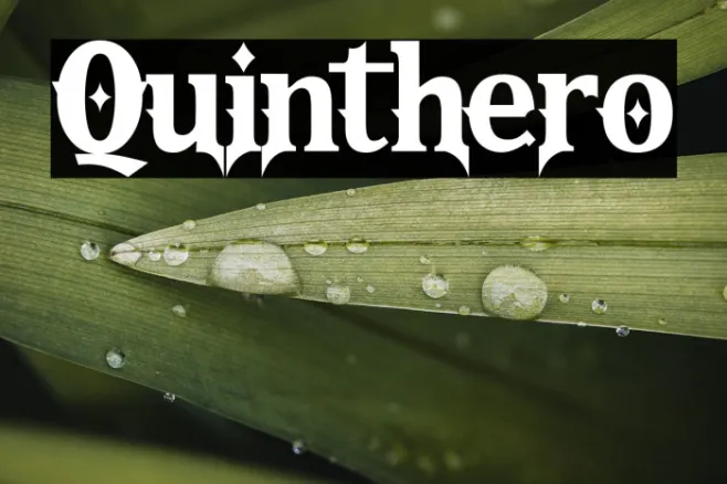 Quinthero Example 3