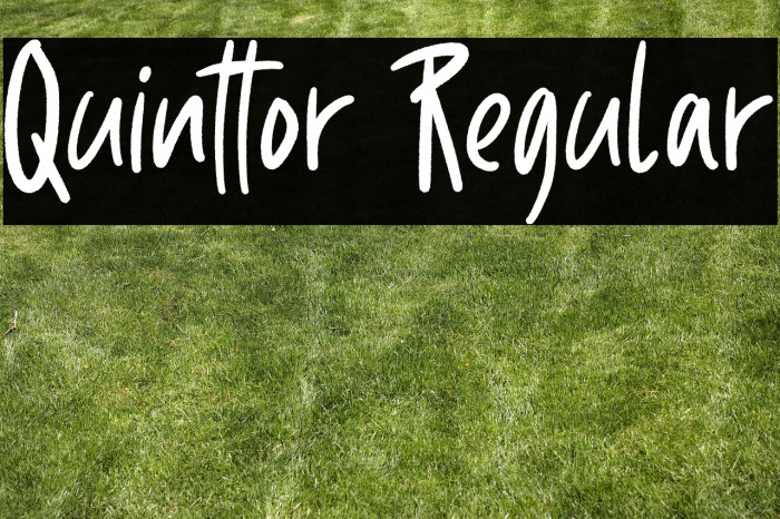 Quinttor Regular Example 2