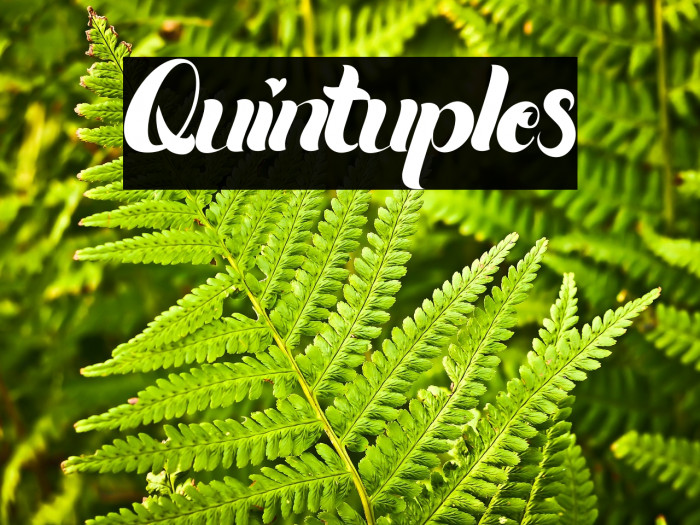 Quintuples Example 1