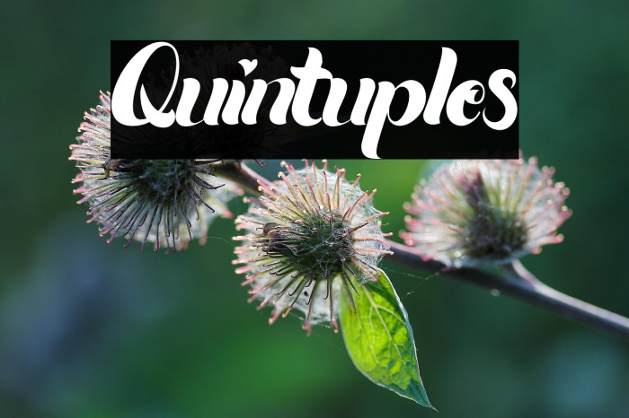 Quintuples Example 2
