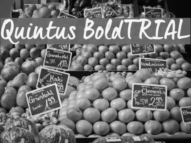 Quintus Bold_TRIAL Font examples