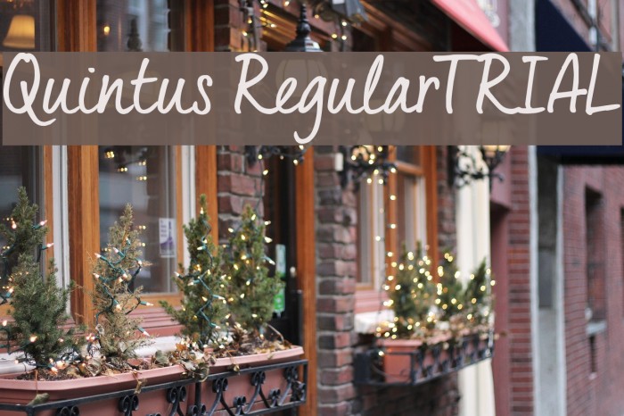Quintus Regular_TRIAL Font examples