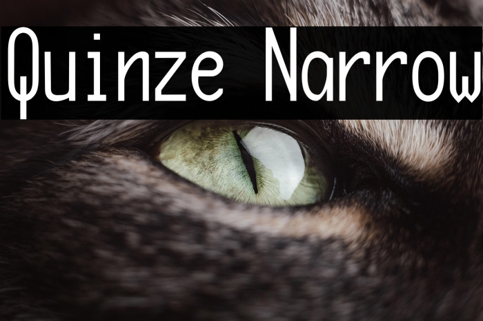 Quinze Narrow Example 1