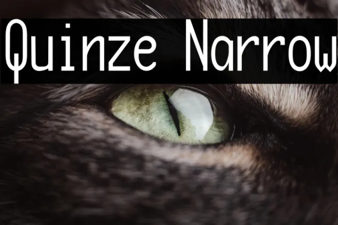 Quinze Narrow Example 1